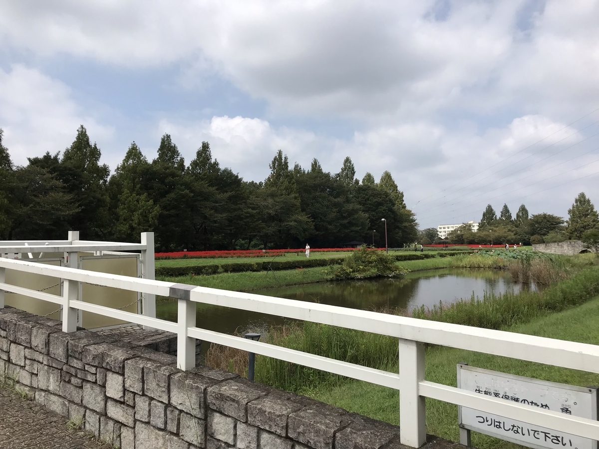 f:id:arakannkoala:20210915155352j:plain