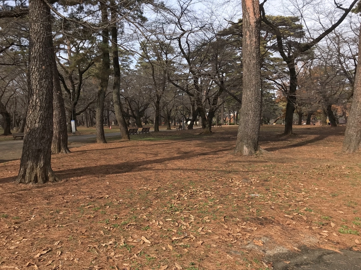 f:id:arakannkoala:20211210141902j:plain