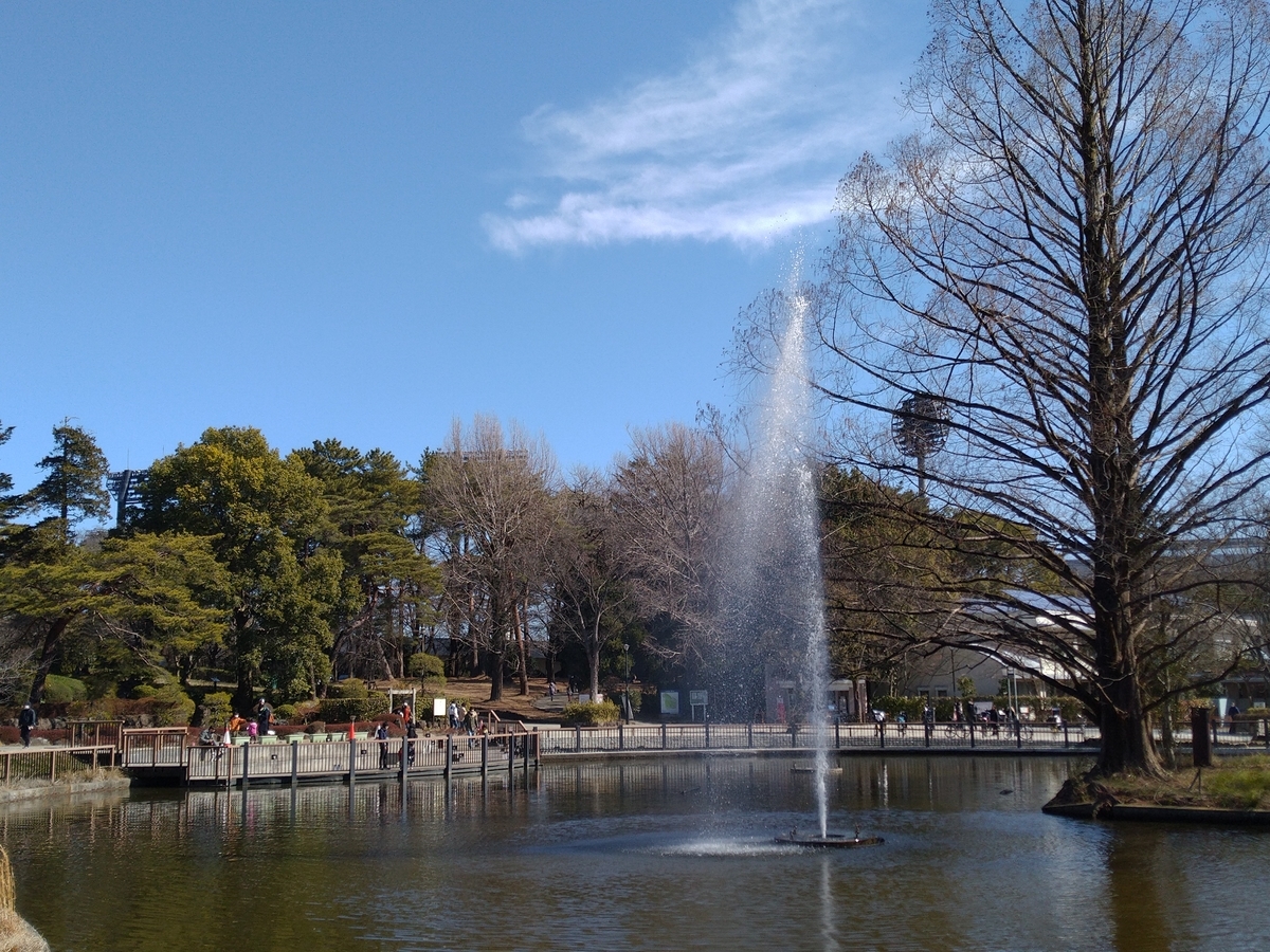 f:id:arakannkoala:20220223134936j:plain