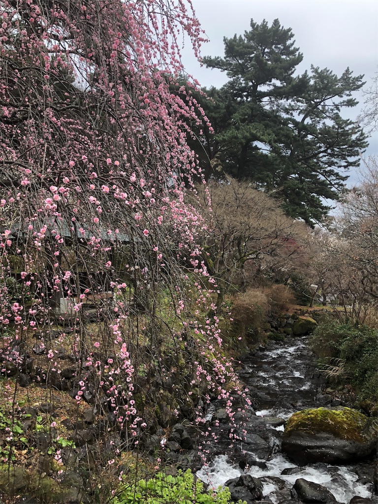 f:id:arakantan:20190219185616j:plain f:id:arakantan:20190219185616j:plain