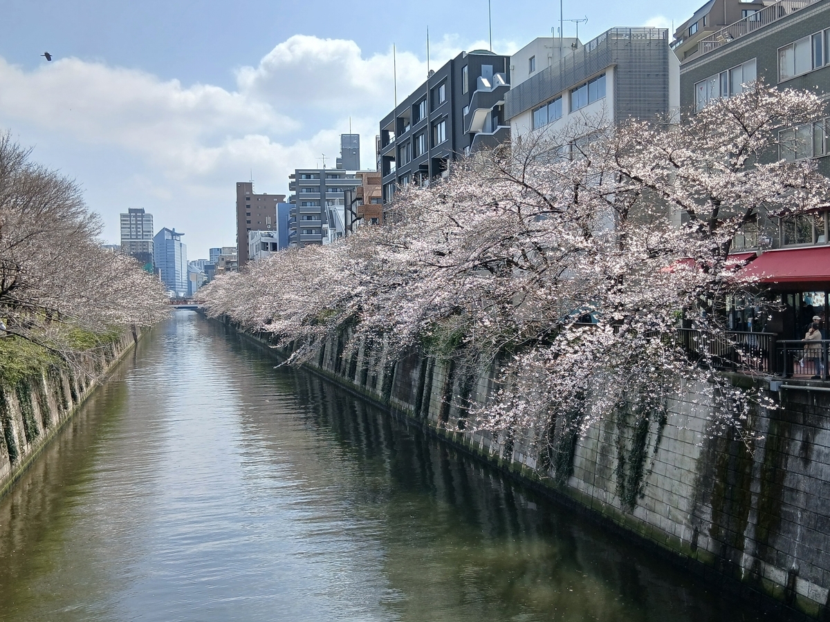 目黒といえば、桜と秋刀魚 - 荒川三歩