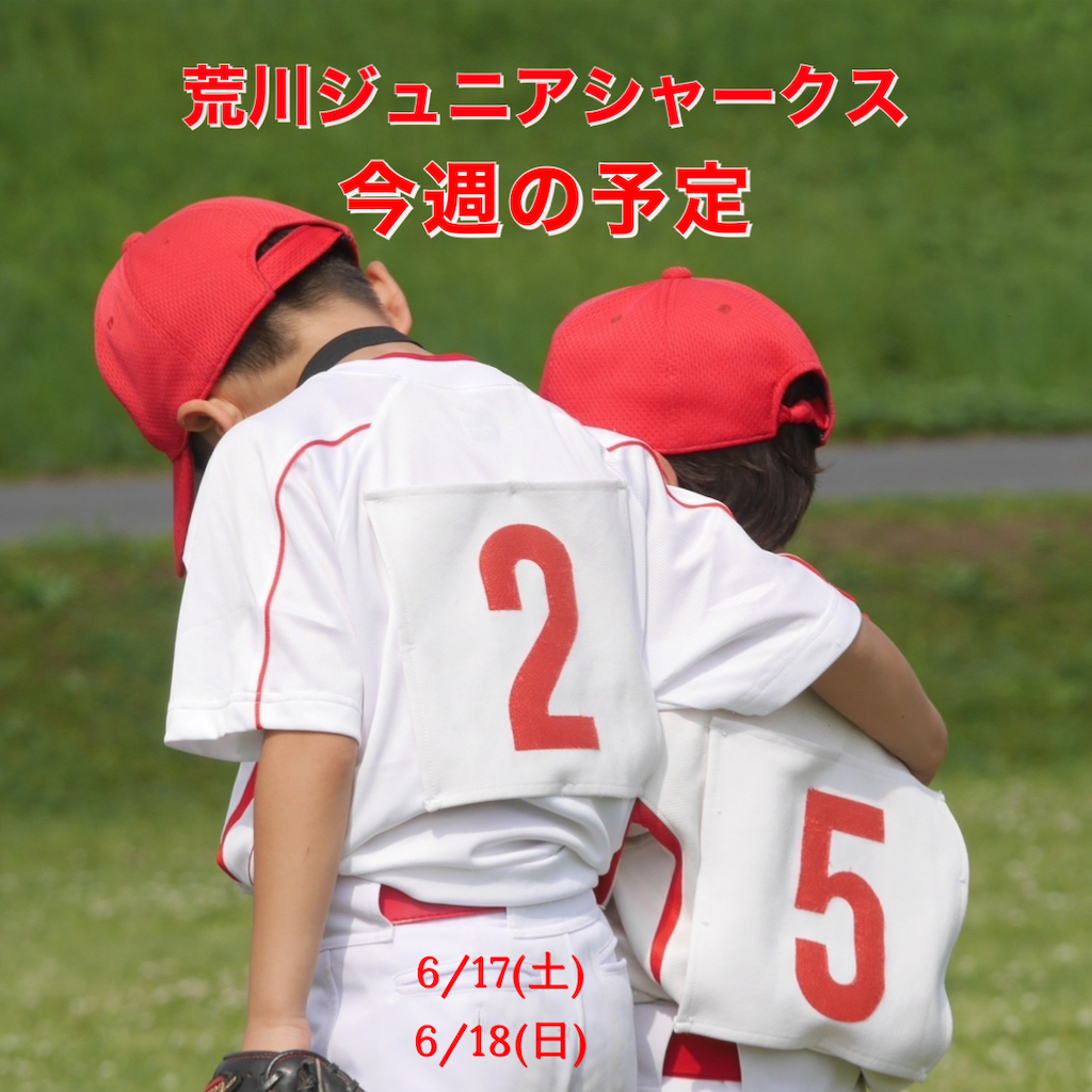 f:id:arakawajs:20230616122257p:image