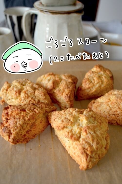 f:id:arakawalove:20200703174103j:plain f:id:arakawalove:20200703174103j:plain