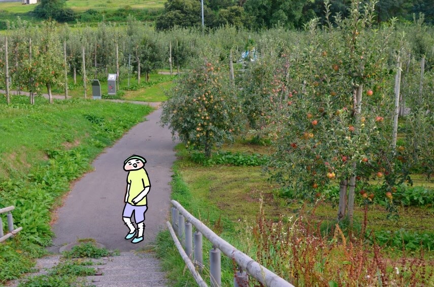 f:id:arakawalove:20200709094802j:plain f:id:arakawalove:20200709094802j:plain