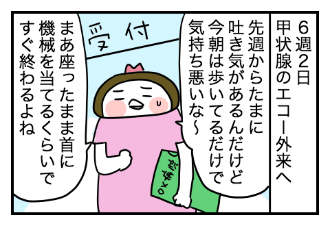 ３回めの妊娠 ２ 最悪のタイミングでつわり本格化 三度目の正直 不育症のメモブログ