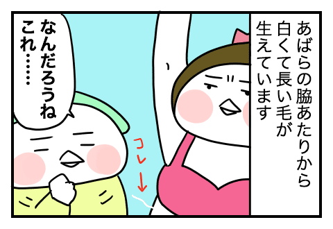 f:id:arakawalove:20200720230024p:plain
