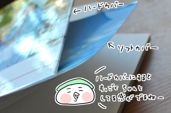 f:id:arakawalove:20200803212838j:plain f:id:arakawalove:20200803212838j:plain