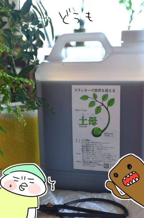 f:id:arakawalove:20210326013430j:plain