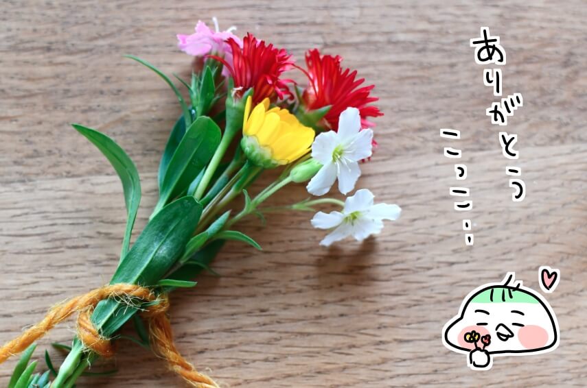 f:id:arakawalove:20210511011103j:plain