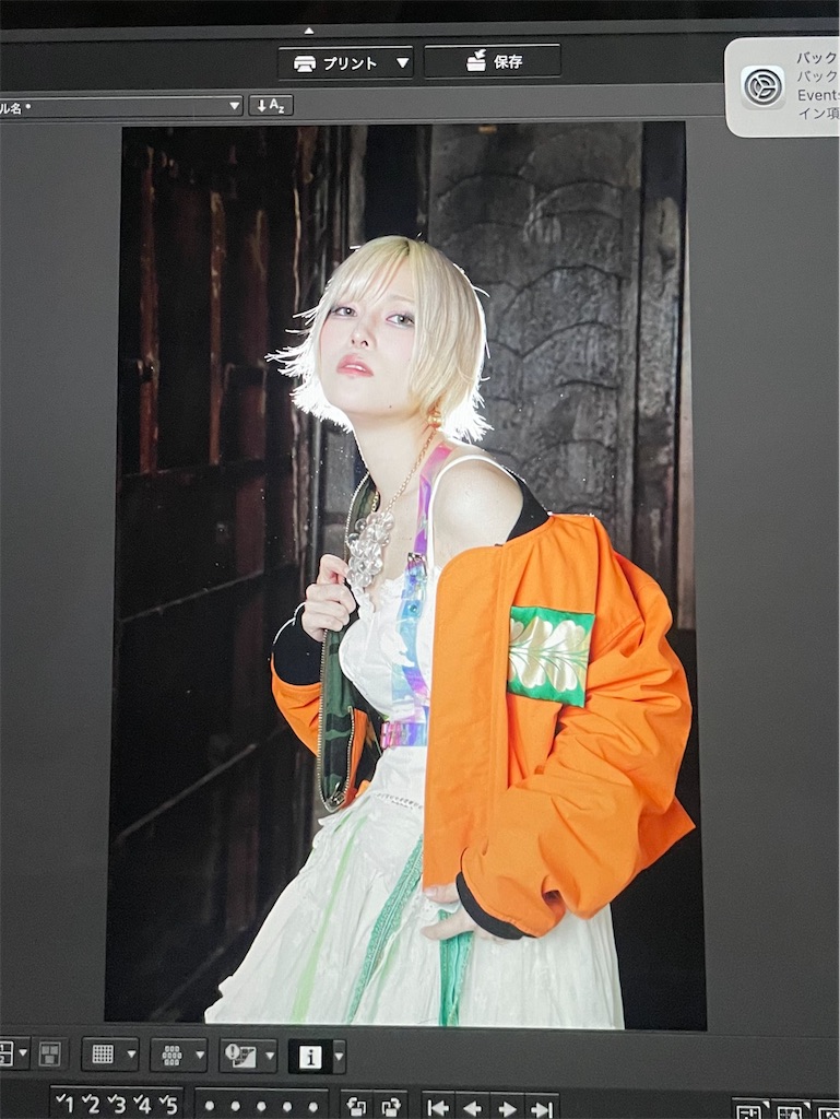 f:id:arakawamashiro:20251231172943j:image