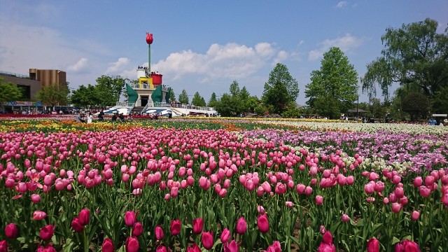 f:id:arakawanaika:20180510053231j:image