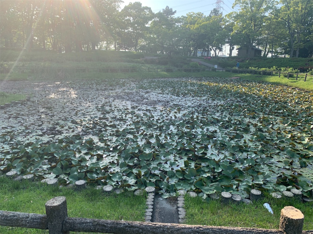 f:id:arakawanaika:20190826161855j:image