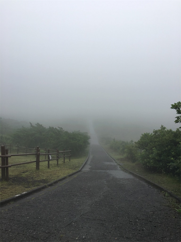 f:id:arakawayuriko:20170805042608j:image f:id:arakawayuriko:20170805042608j:image