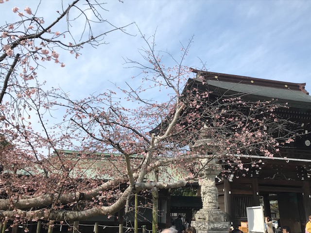 f:id:araken0129:20190317161152j:plain