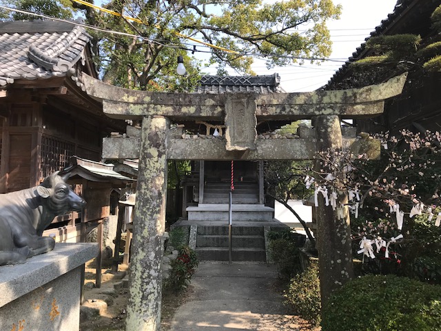 f:id:araken0129:20190317162848j:plain