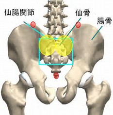 f:id:araken1210:20171101194802j:plain f:id:araken1210:20171101194802j:plain