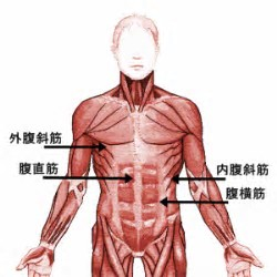 f:id:araken1210:20171112135132p:plain