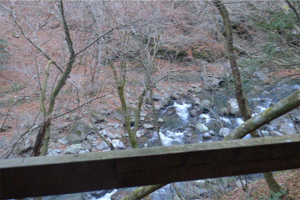 f:id:araki164:20180125215412j:image f:id:araki164:20180125215412j:image