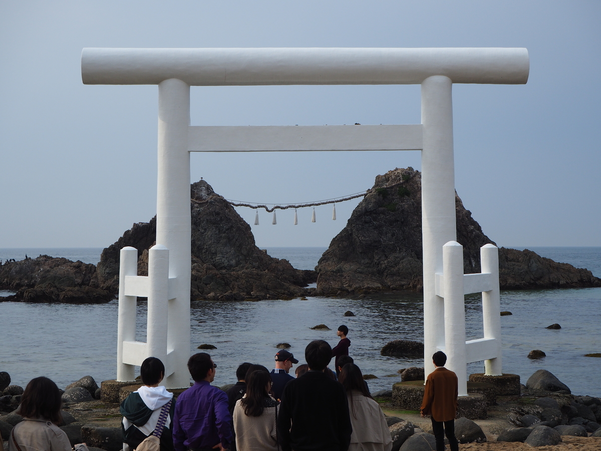f:id:araki7991:20190403234319j:plain