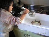 f:id:arakik10:20071020081034j:image