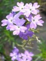 20090719162056