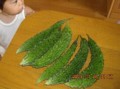20090726075218