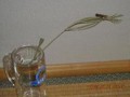 20090821074832