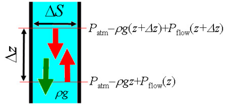f:id:arakik10:20100613101313j:image