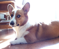 20230227175046