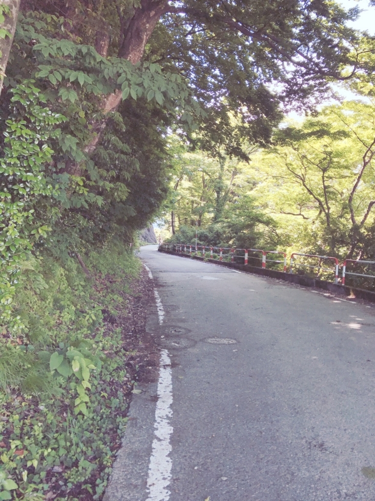 f:id:aramakiiku:20170609223635j:plain f:id:aramakiiku:20170609223635j:plain