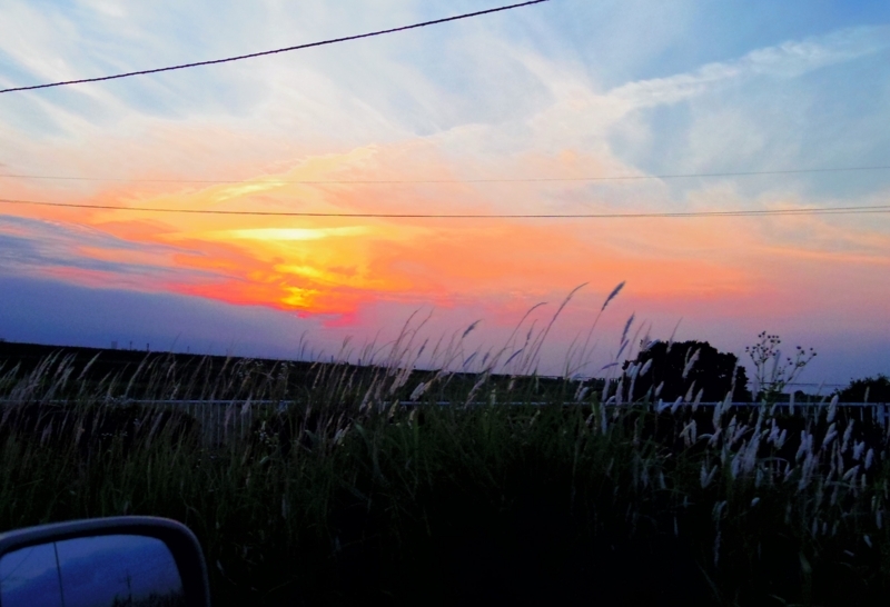 f:id:aramasachan:20170607213604j:plain