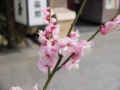 f:id:aramotokei:20130222142110j:image:medium