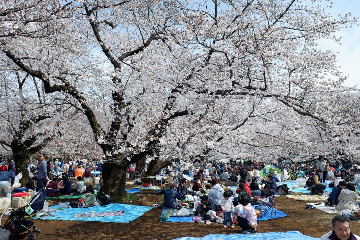 f:id:aramotokei:20190401112727j:plain