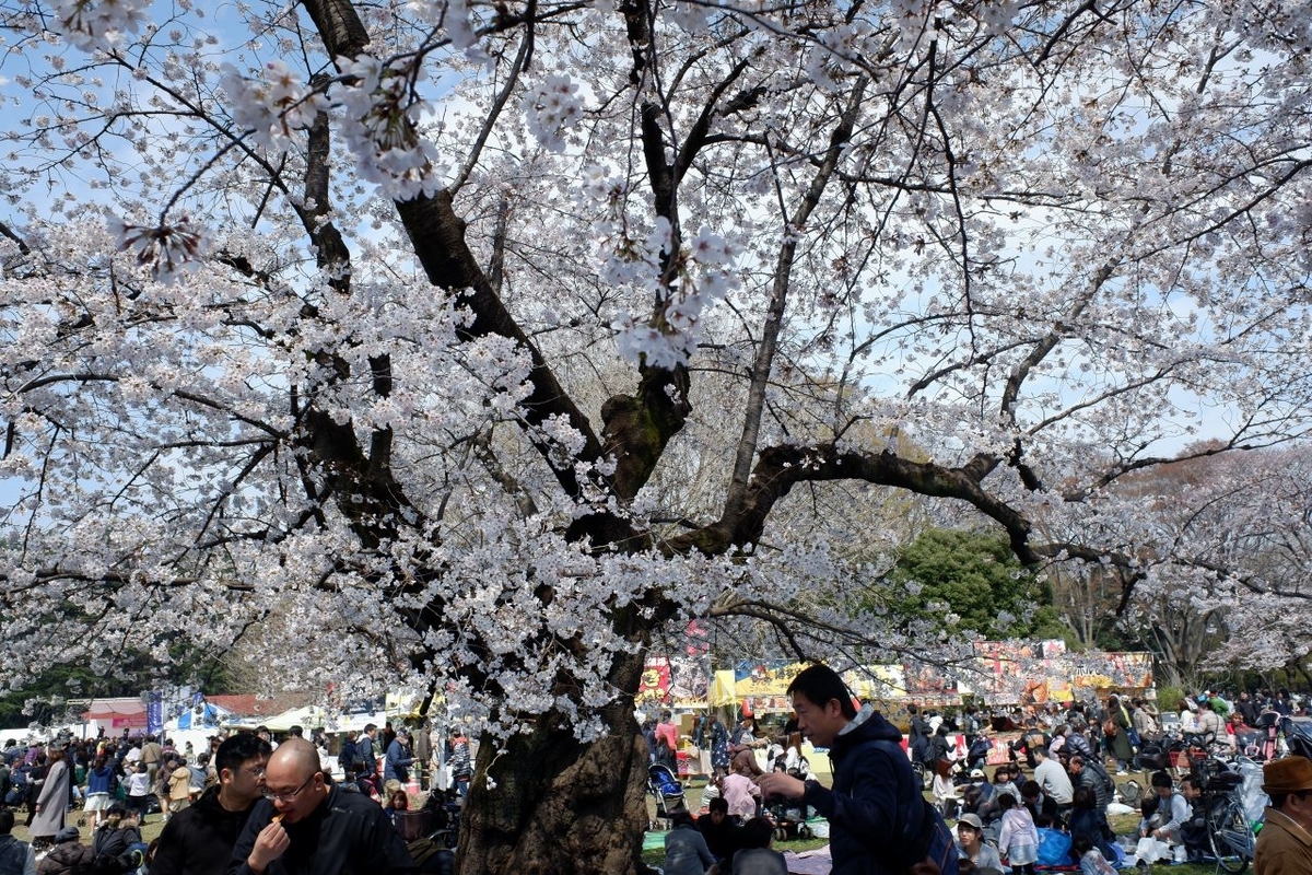 f:id:aramotokei:20190401112739j:plain