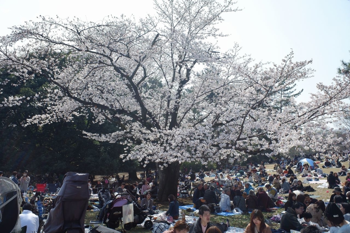 f:id:aramotokei:20190401112753j:plain