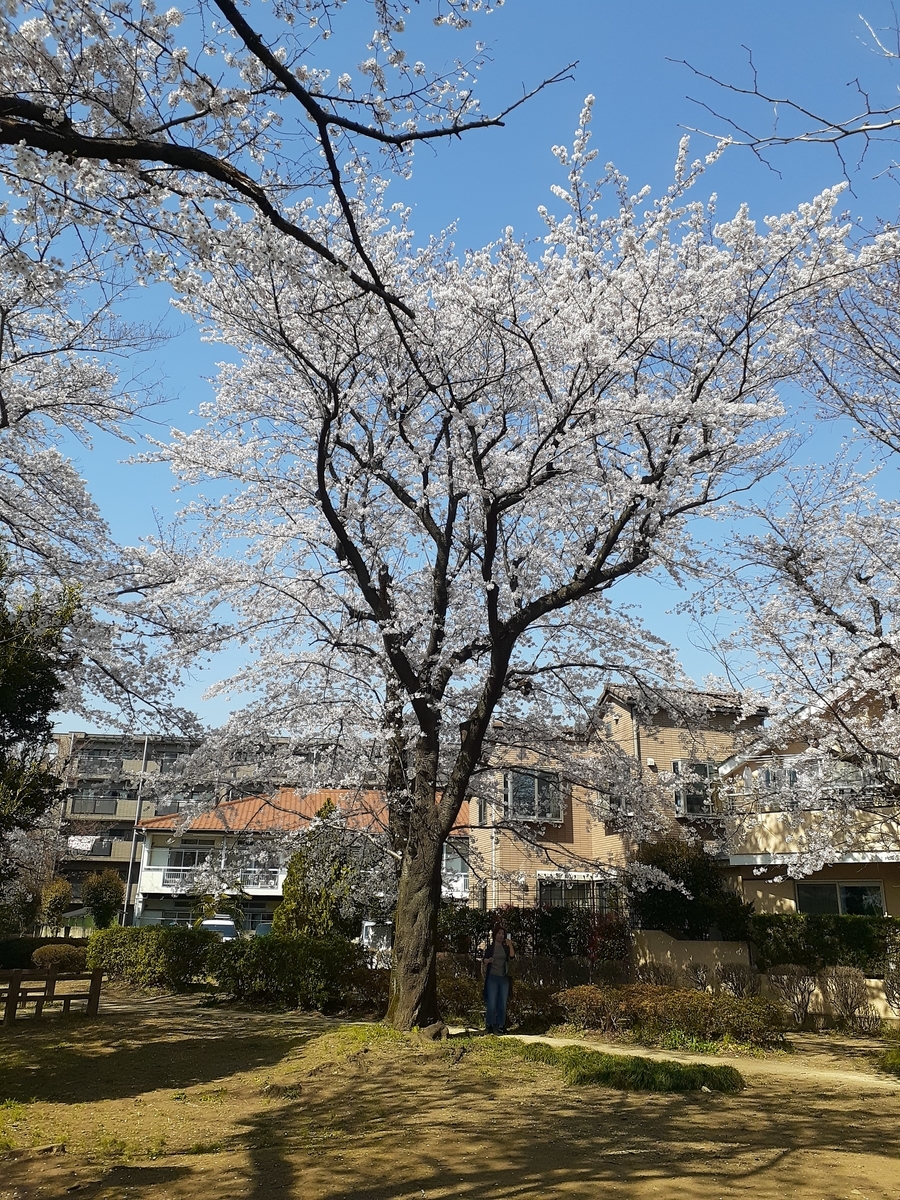 f:id:aramotokei:20200326134614j:plain f:id:aramotokei:20200326134614j:plain