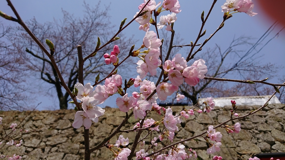 f:id:aranciarossa:20190329123953j:plain