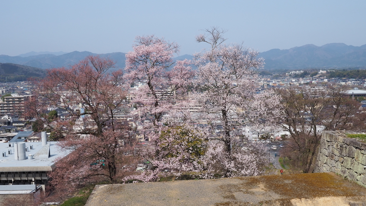 f:id:aranciarossa:20190329131037j:plain
