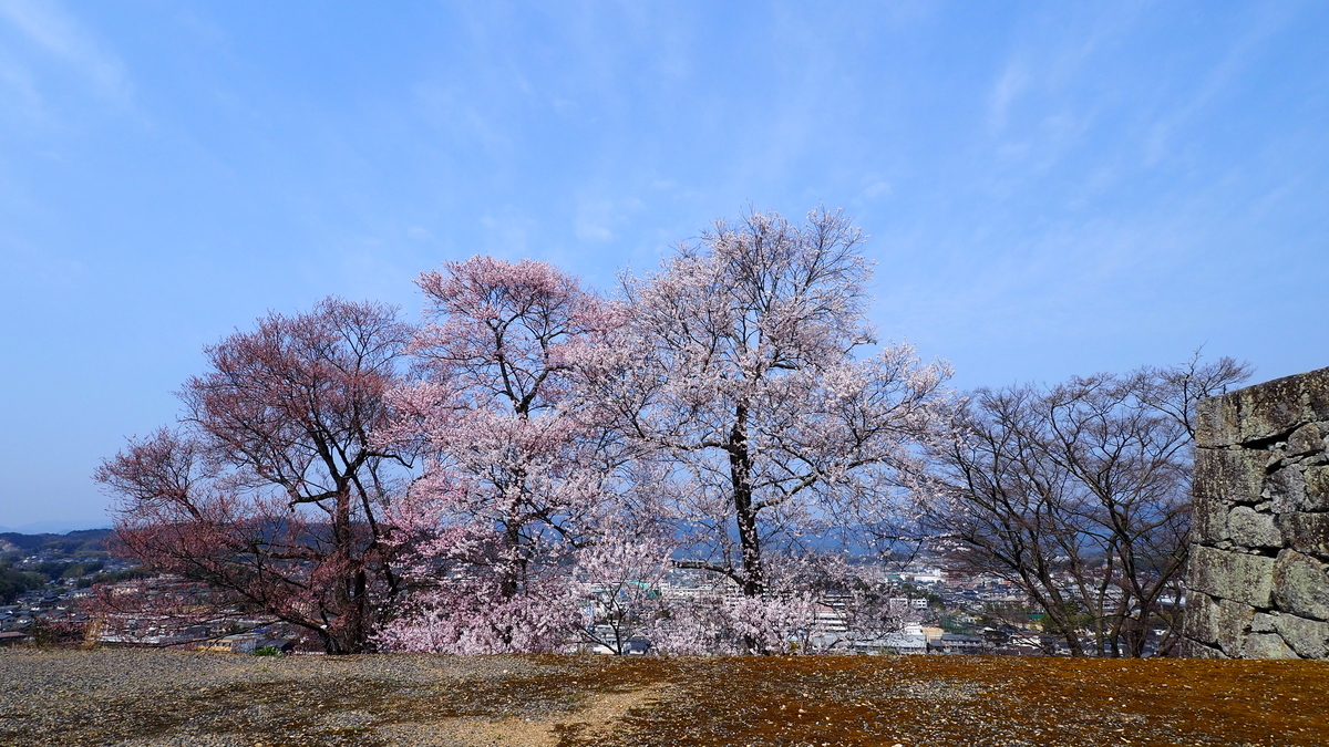 f:id:aranciarossa:20190329131324j:plain