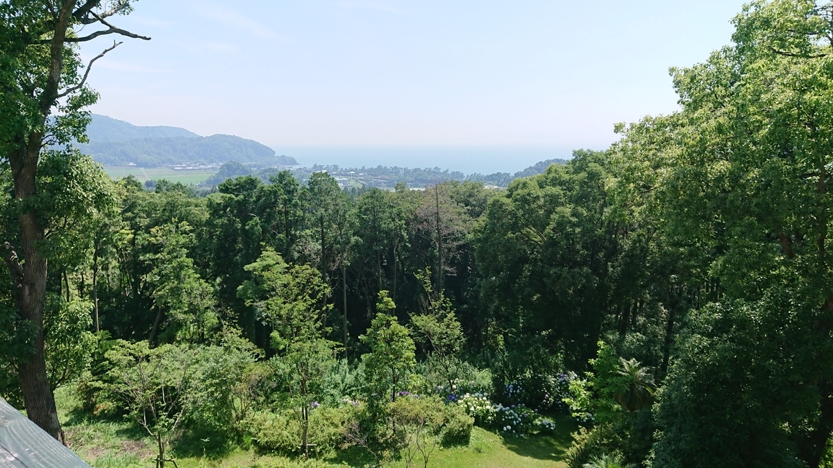 f:id:aranciarossa:20191108123726j:plain f:id:aranciarossa:20191108123726j:plain
