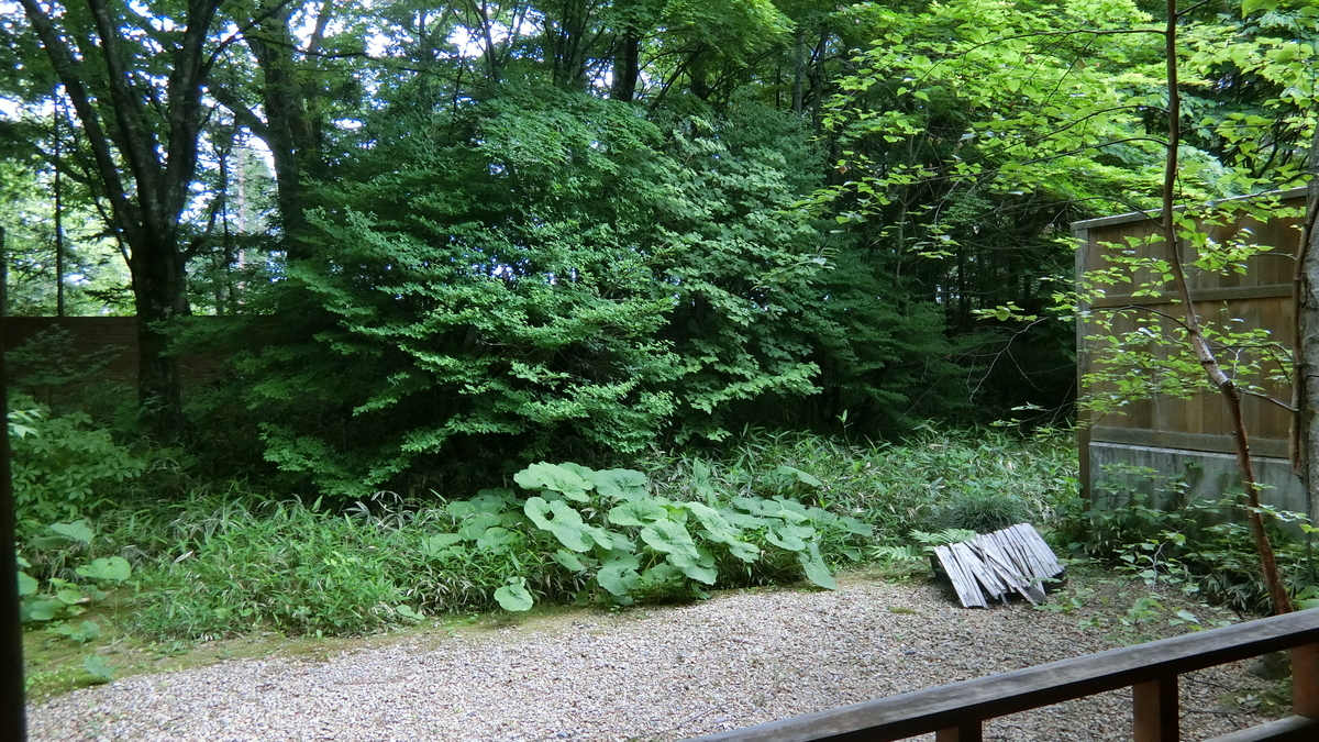 f:id:aranciarossa:20191118233454j:plain f:id:aranciarossa:20191118233454j:plain