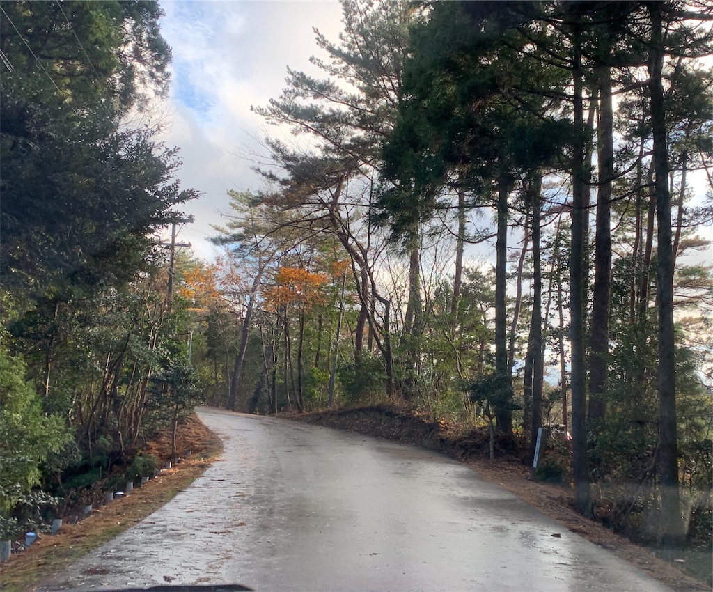 f:id:aranciarossa:20191205172129j:plain f:id:aranciarossa:20191205172129j:plain