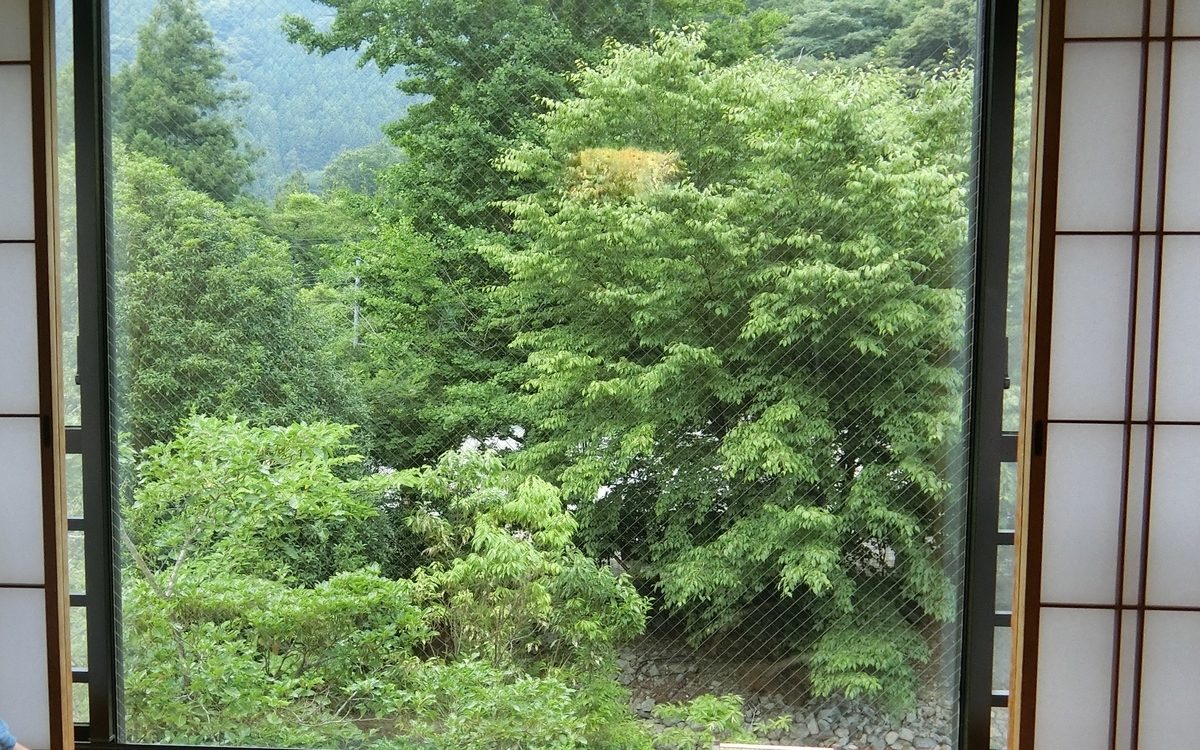 f:id:aranciarossa:20200325004552j:plain f:id:aranciarossa:20200325004552j:plain