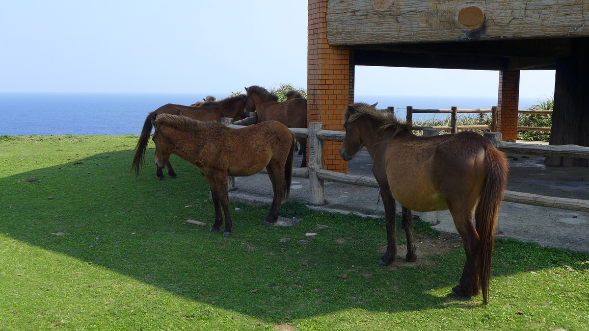 f:id:aranciarossa:20200401200850j:plain f:id:aranciarossa:20200401200850j:plain