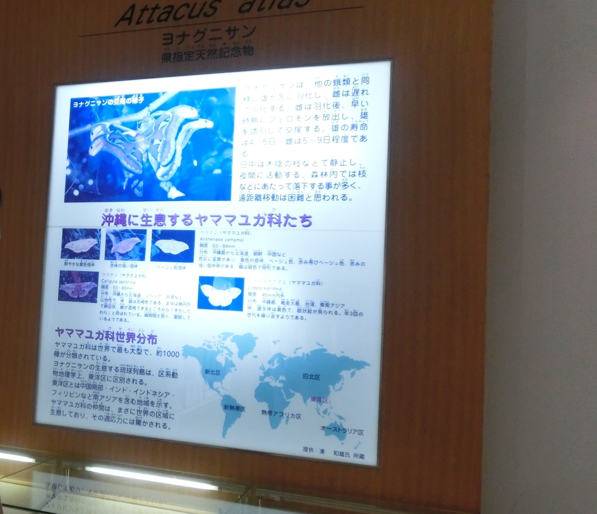 f:id:aranciarossa:20200401201135j:plain f:id:aranciarossa:20200401201135j:plain