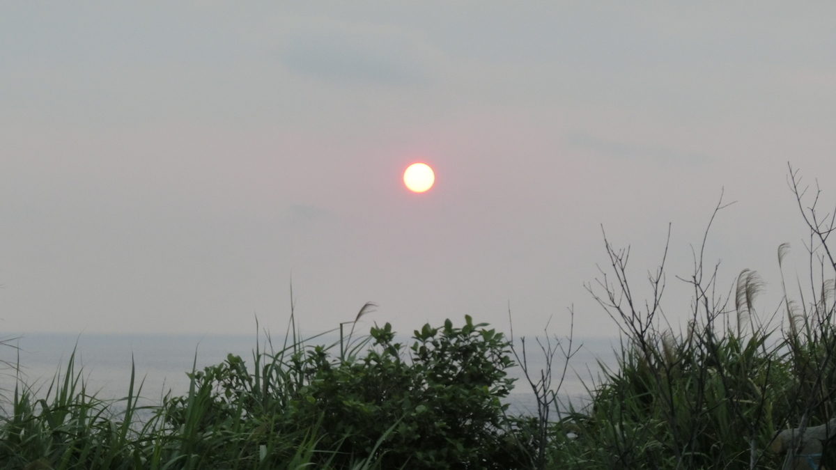f:id:aranciarossa:20200401213030j:plain f:id:aranciarossa:20200401213030j:plain