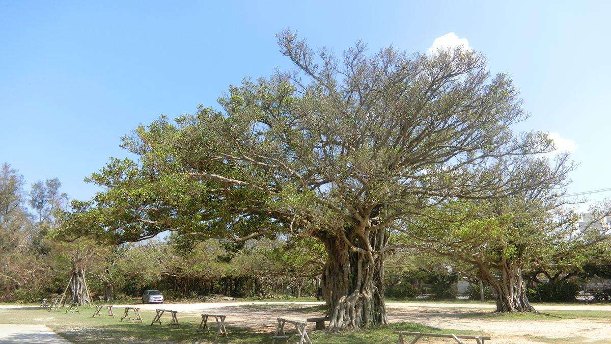 f:id:aranciarossa:20200417193510j:plain f:id:aranciarossa:20200417193510j:plain