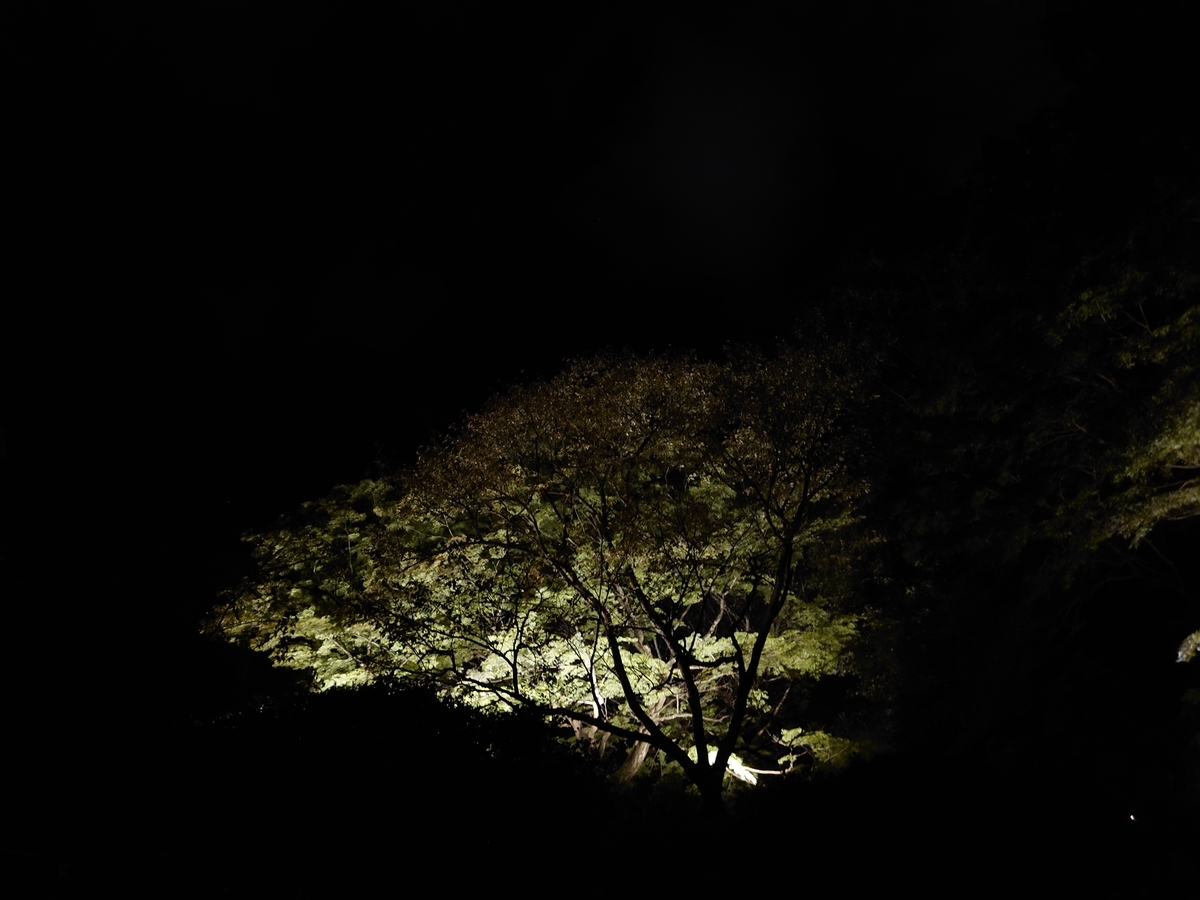 f:id:aranciarossa:20201106233231j:plain