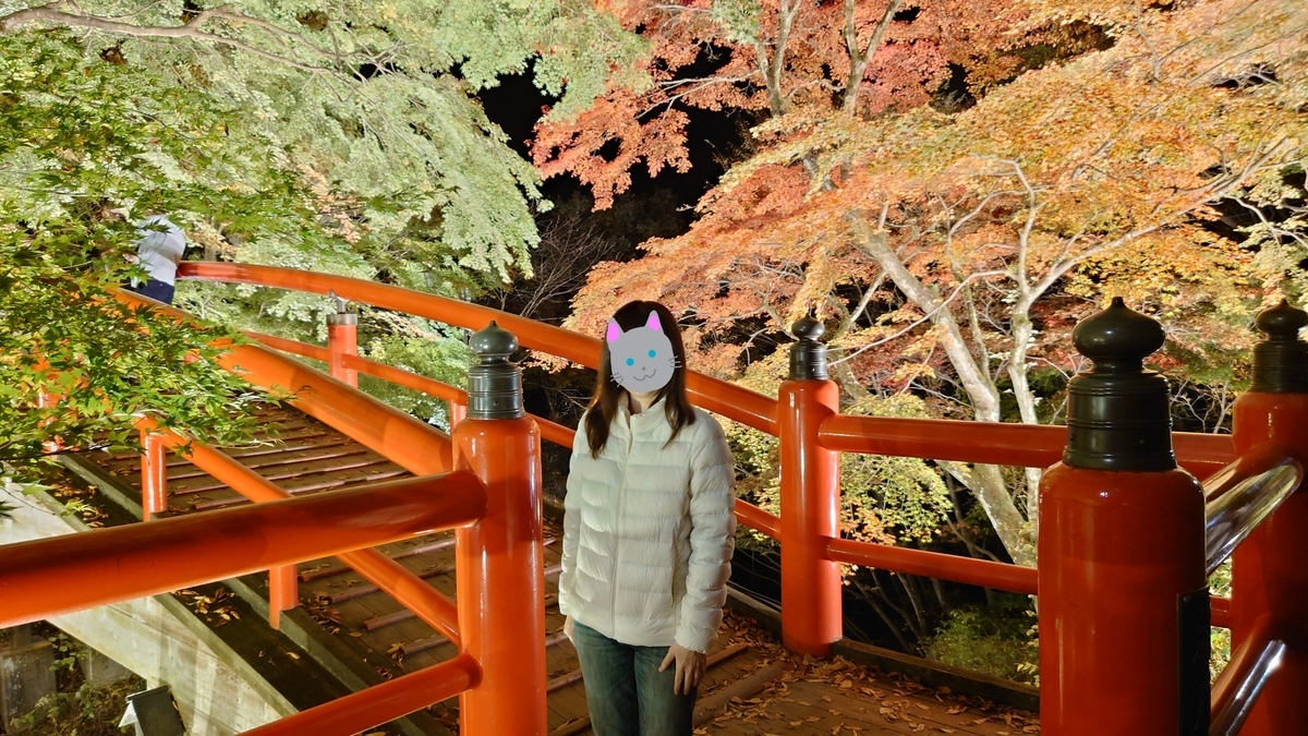 f:id:aranciarossa:20201119150423j:plain