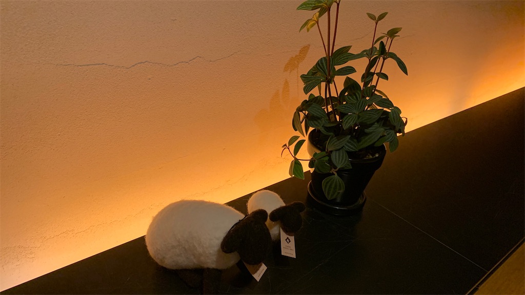 f:id:aranciarossa:20201128165727j:image